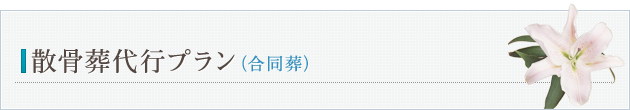 散骨葬代行プラン（合同葬）